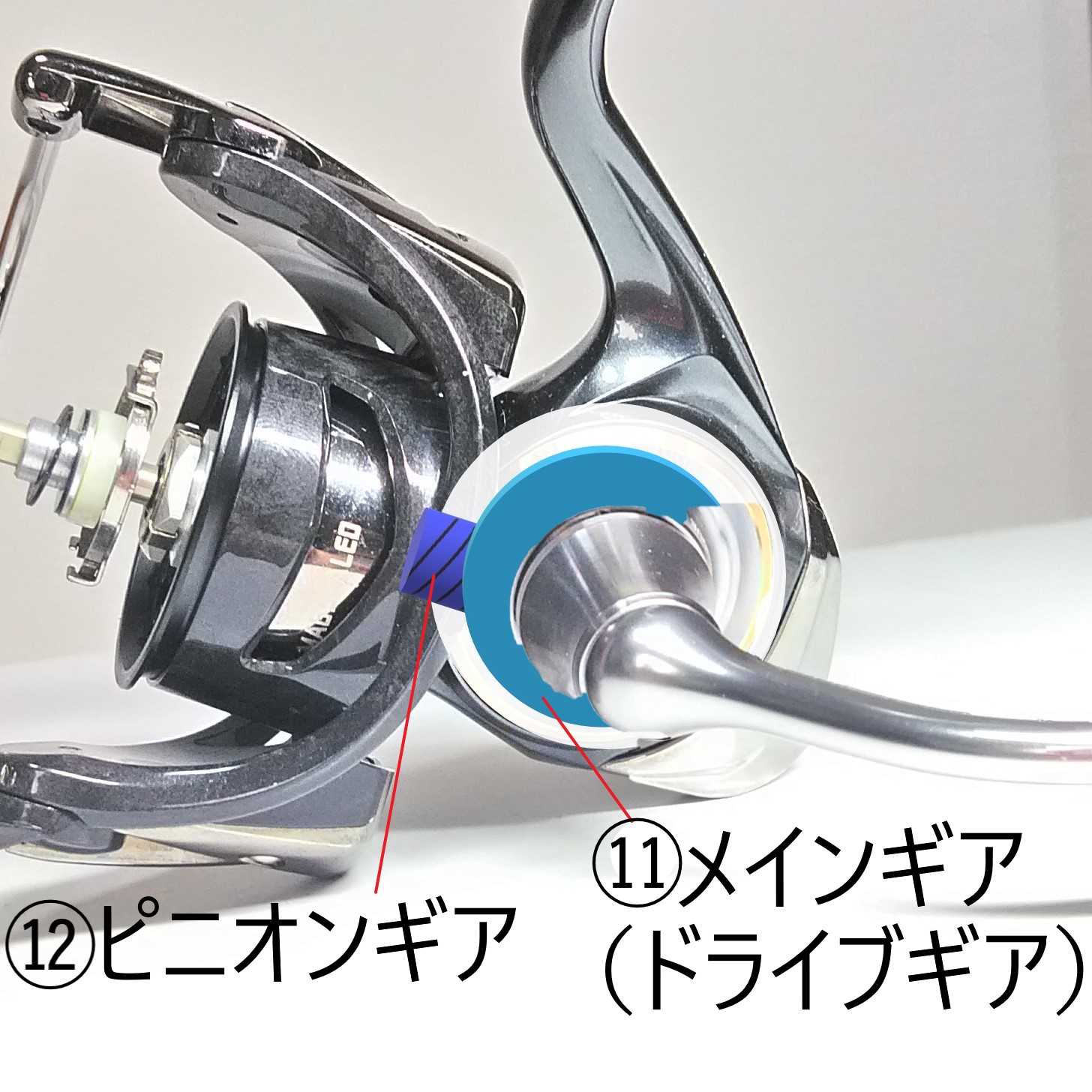リールの部位と名称